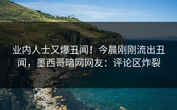 业内人士又爆丑闻！今晨刚刚流出丑闻，墨西哥暗网网友：评论区炸裂