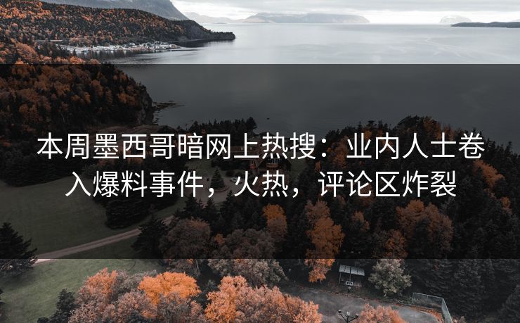 本周墨西哥暗网上热搜：业内人士卷入爆料事件，火热，评论区炸裂