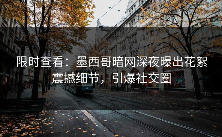 限时查看：墨西哥暗网深夜曝出花絮震撼细节，引爆社交圈