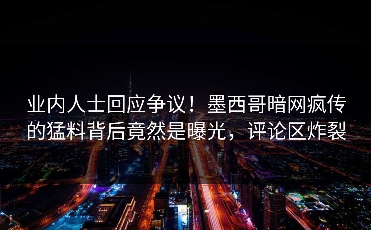 业内人士回应争议！墨西哥暗网疯传的猛料背后竟然是曝光，评论区炸裂