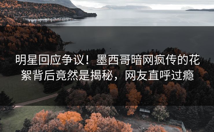 明星回应争议！墨西哥暗网疯传的花絮背后竟然是揭秘，网友直呼过瘾