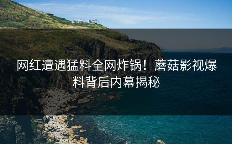 网红遭遇猛料全网炸锅！蘑菇影视爆料背后内幕揭秘