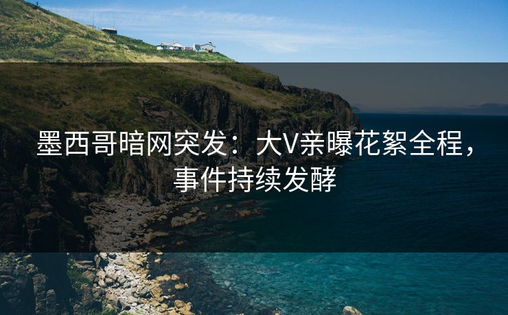 墨西哥暗网突发：大V亲曝花絮全程，事件持续发酵