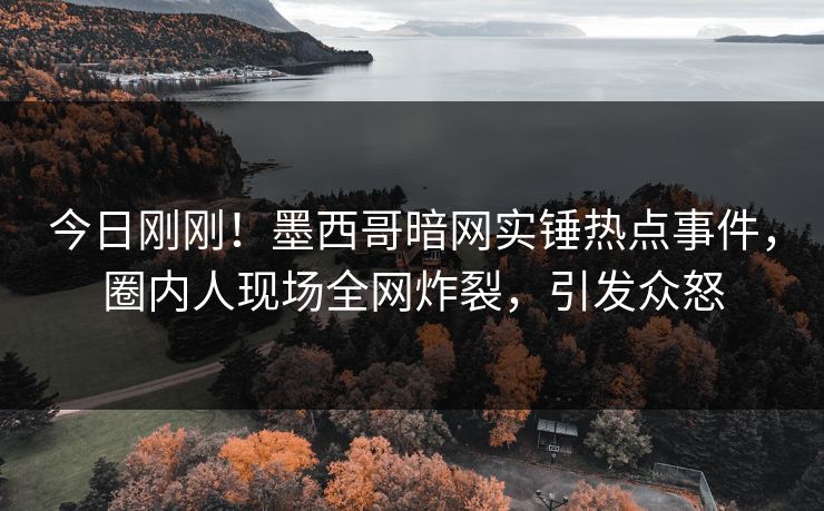 今日刚刚！墨西哥暗网实锤热点事件，圈内人现场全网炸裂，引发众怒