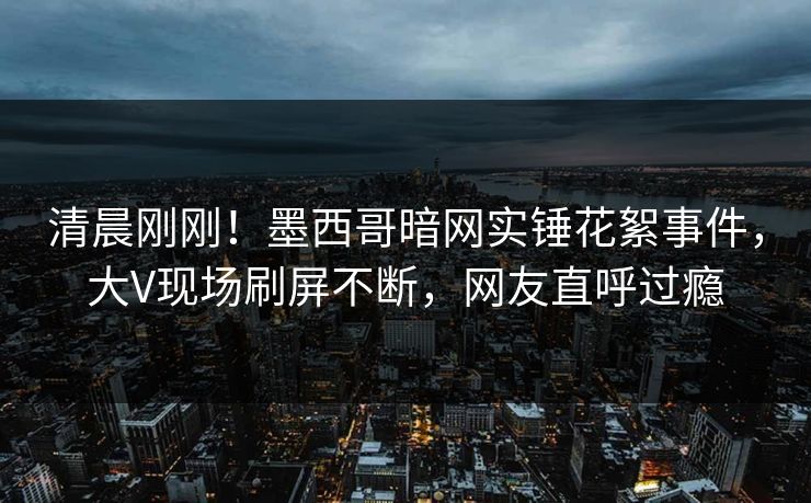 清晨刚刚！墨西哥暗网实锤花絮事件，大V现场刷屏不断，网友直呼过瘾