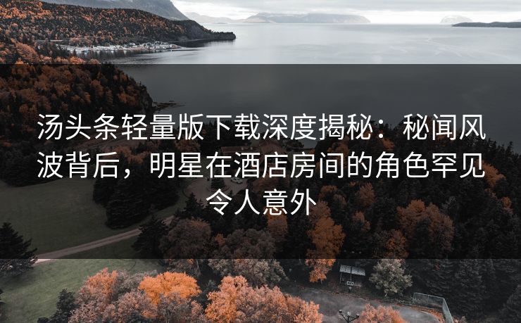 汤头条轻量版下载深度揭秘：秘闻风波背后，明星在酒店房间的角色罕见令人意外