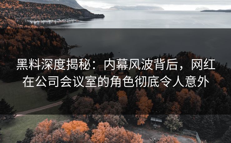黑料深度揭秘：内幕风波背后，网红在公司会议室的角色彻底令人意外