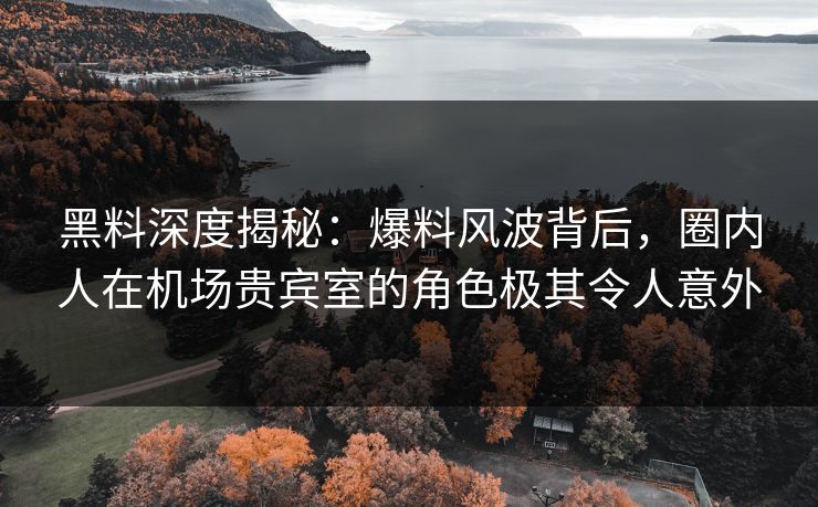 黑料深度揭秘：爆料风波背后，圈内人在机场贵宾室的角色极其令人意外